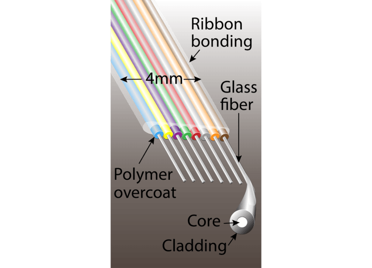Fiber ribbon. Individual fibers are a little thicker than a human hair.
